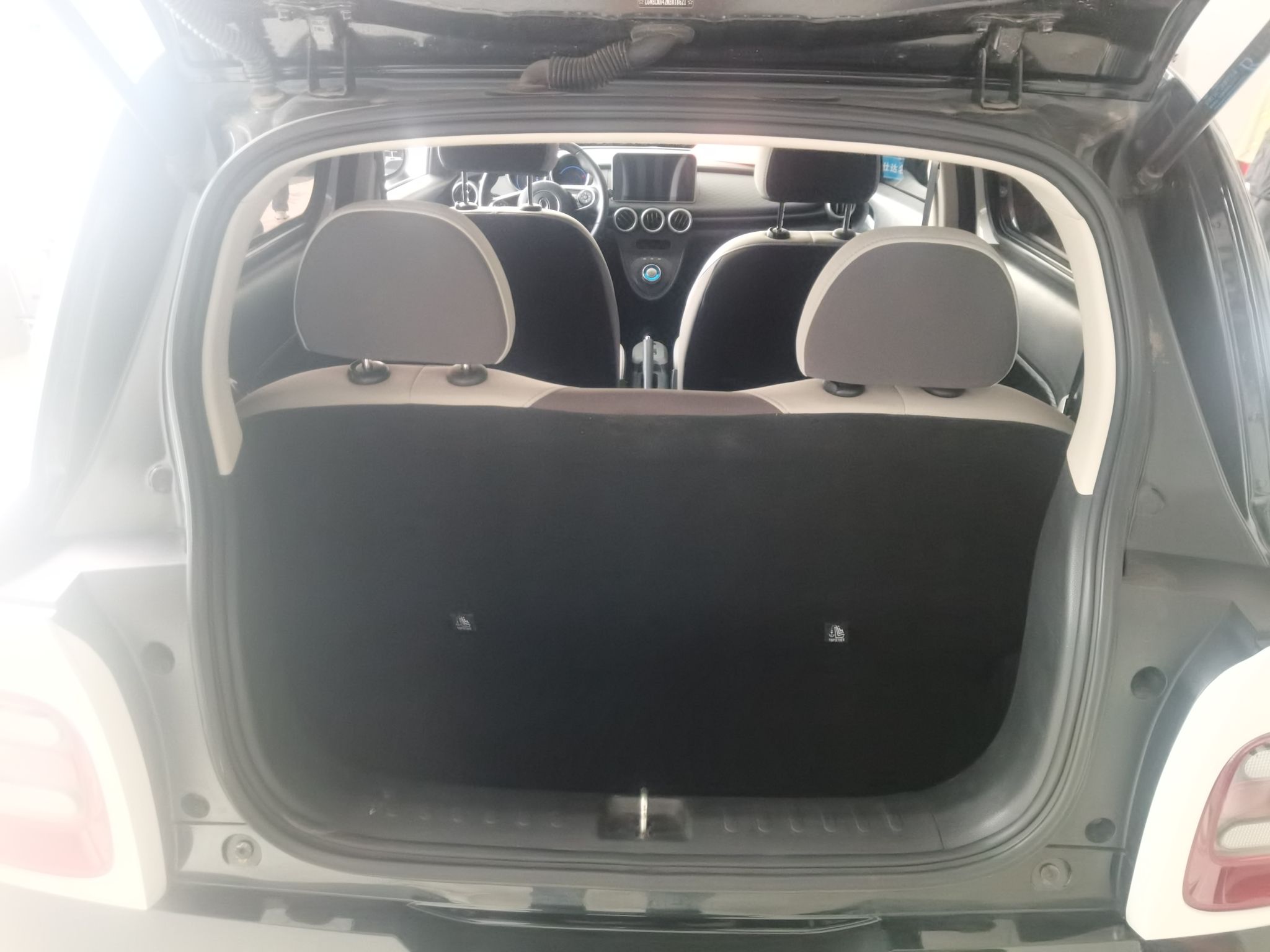 欧拉黑猫 2021款 301km 基础型