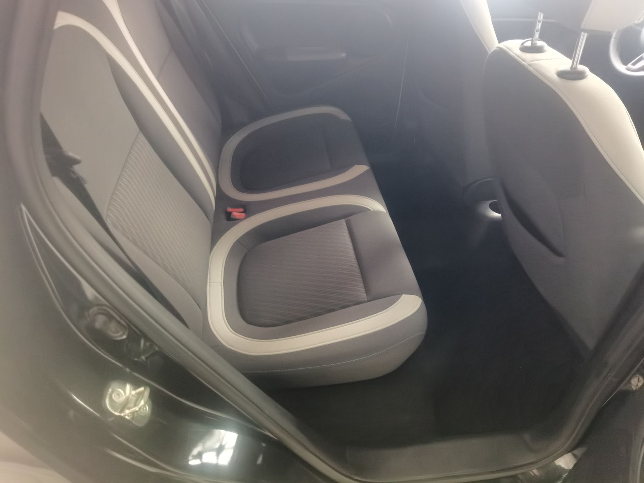 欧拉黑猫 2021款 301km 基础型