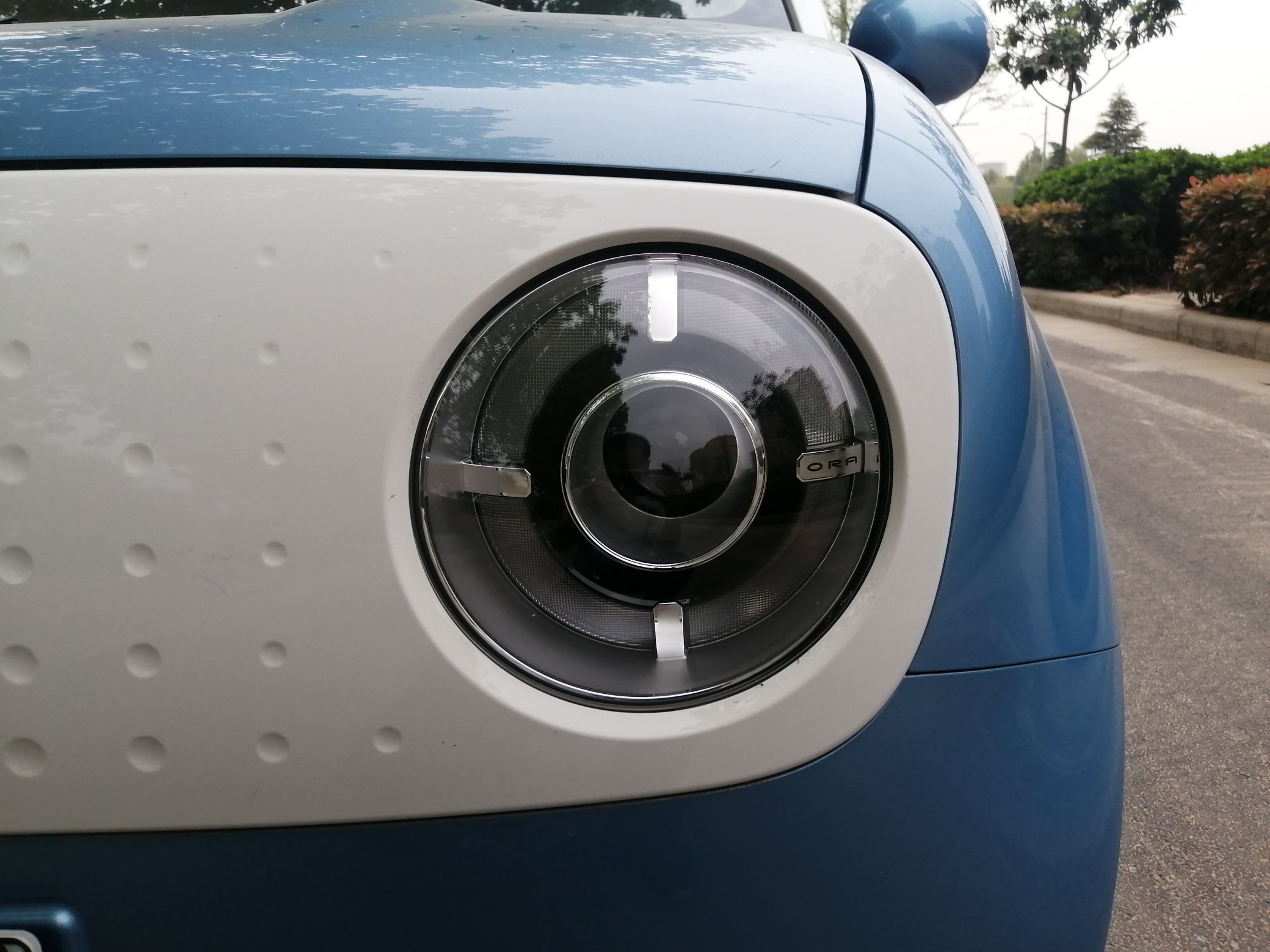 欧拉黑猫 2019款 351km 亲子版