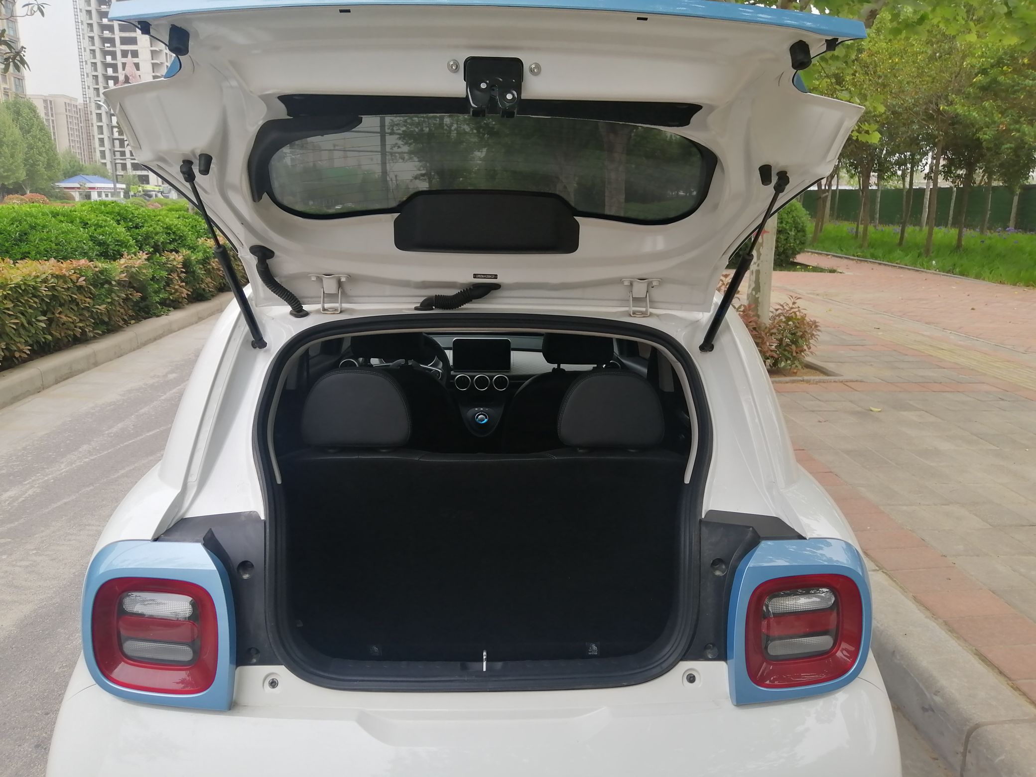 欧拉黑猫 2019款 351km 亲子版