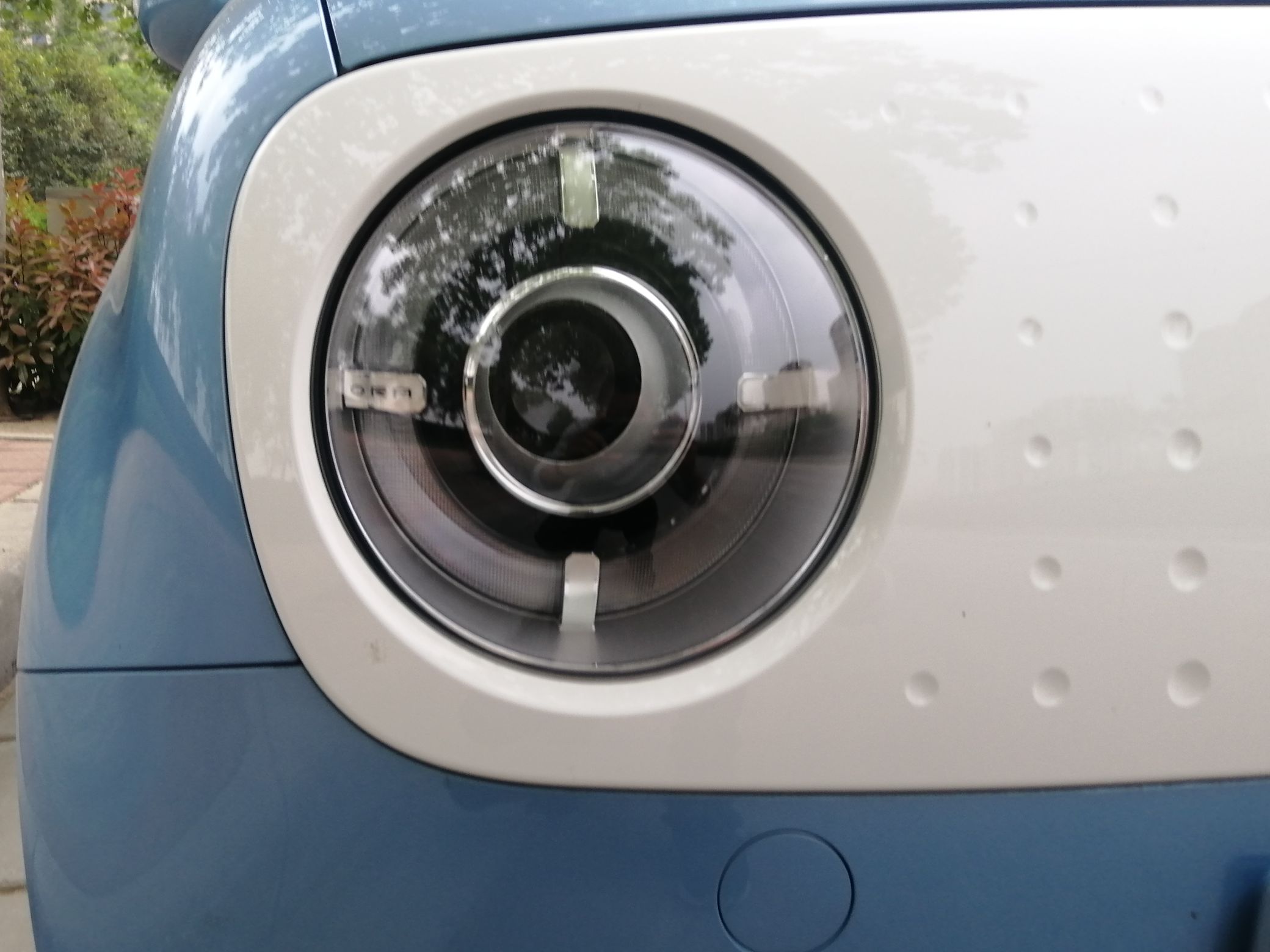 欧拉黑猫 2019款 351km 亲子版