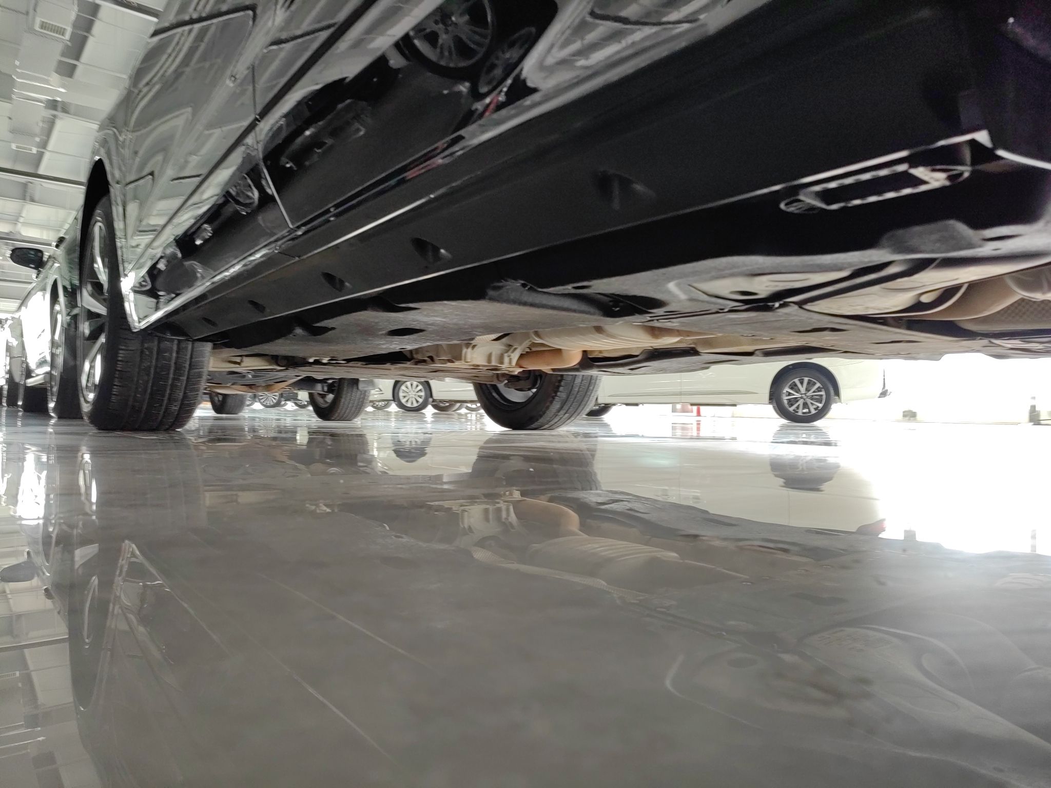 奥迪Q8 2019款 45 TFSI 豪华致雅型(进口)