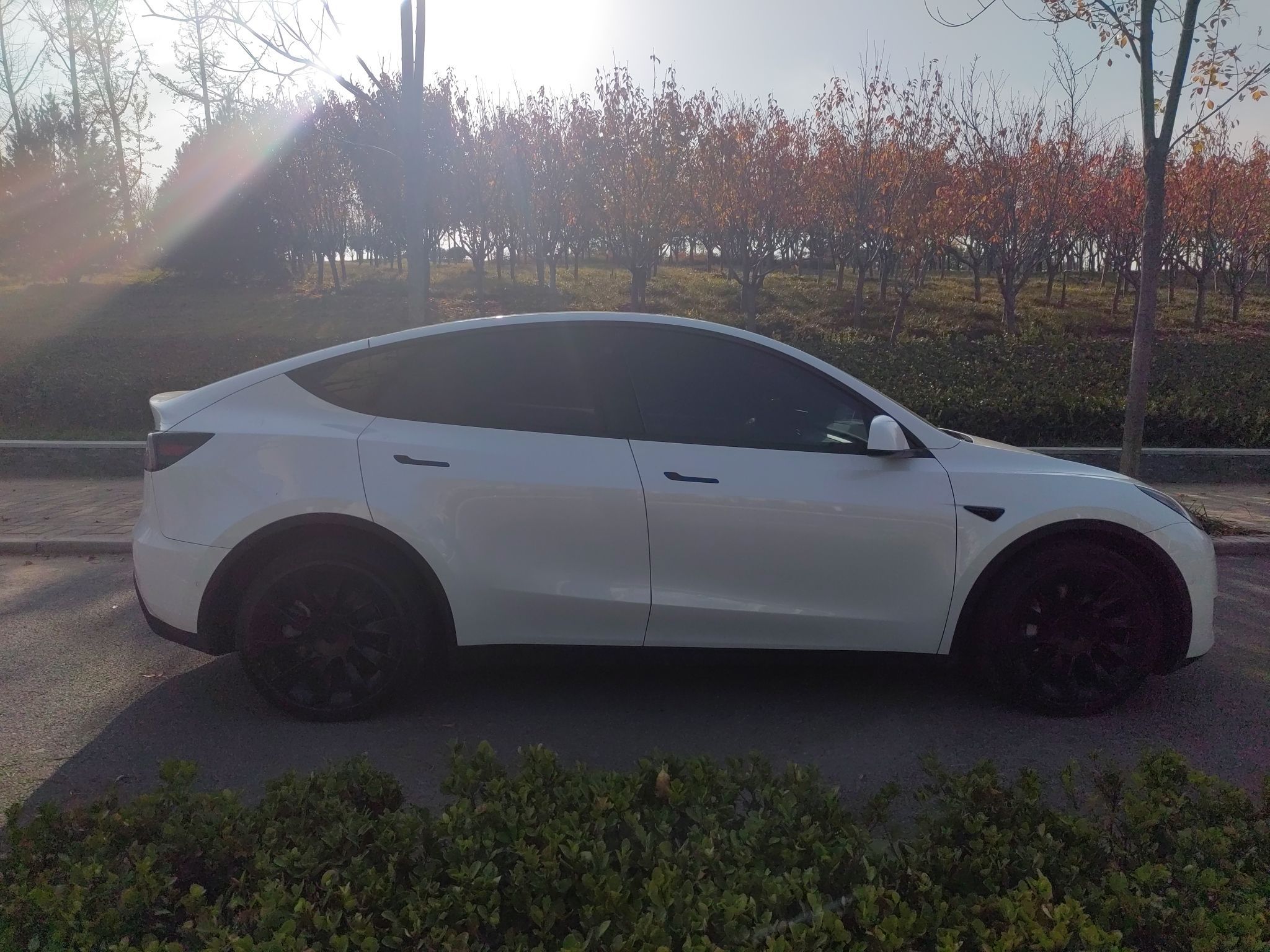 特斯拉 Model Y 2021款 长续航全轮驱动版 3D7