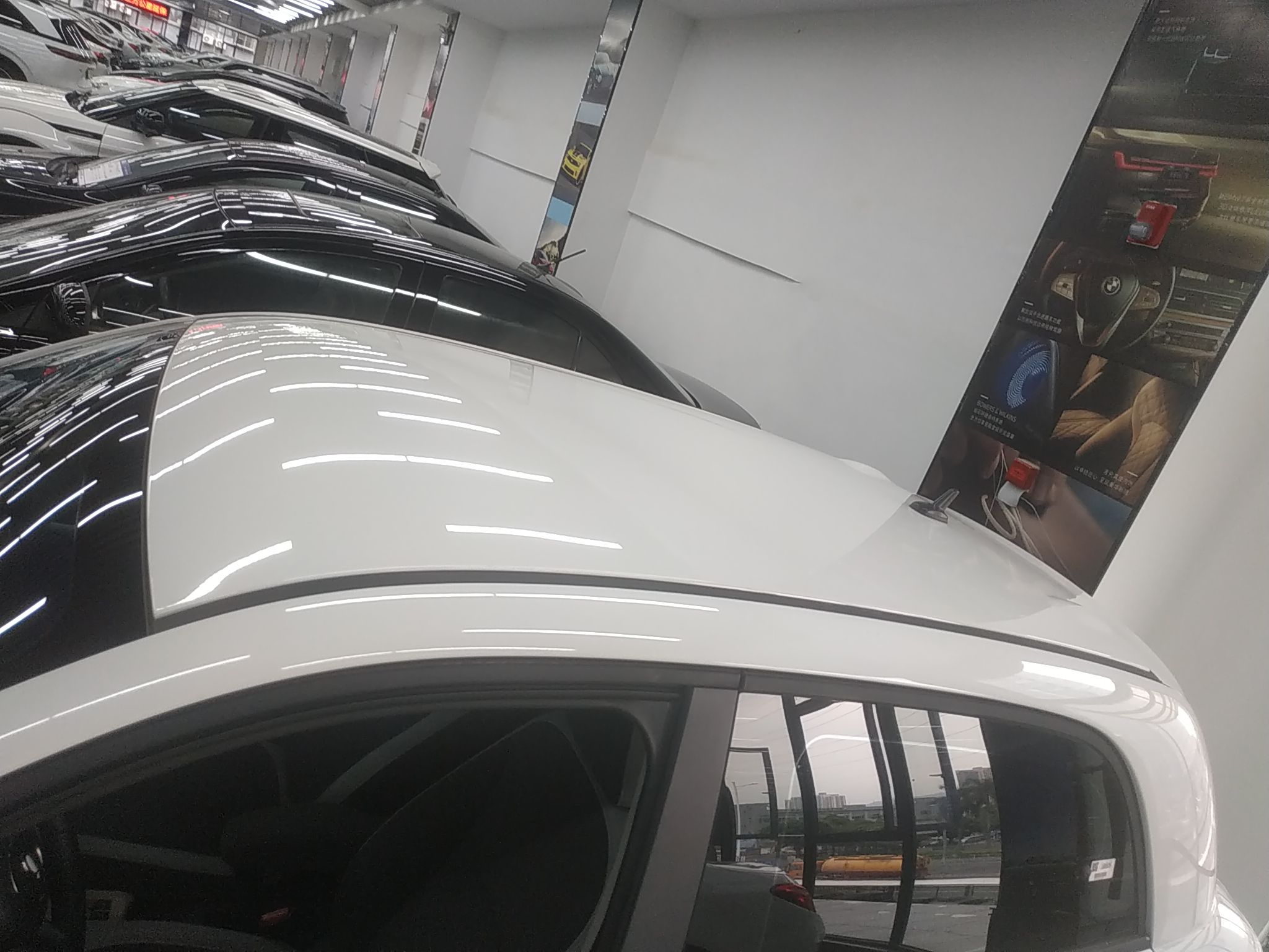 欧拉黑猫 2022款 301km 萌宠版