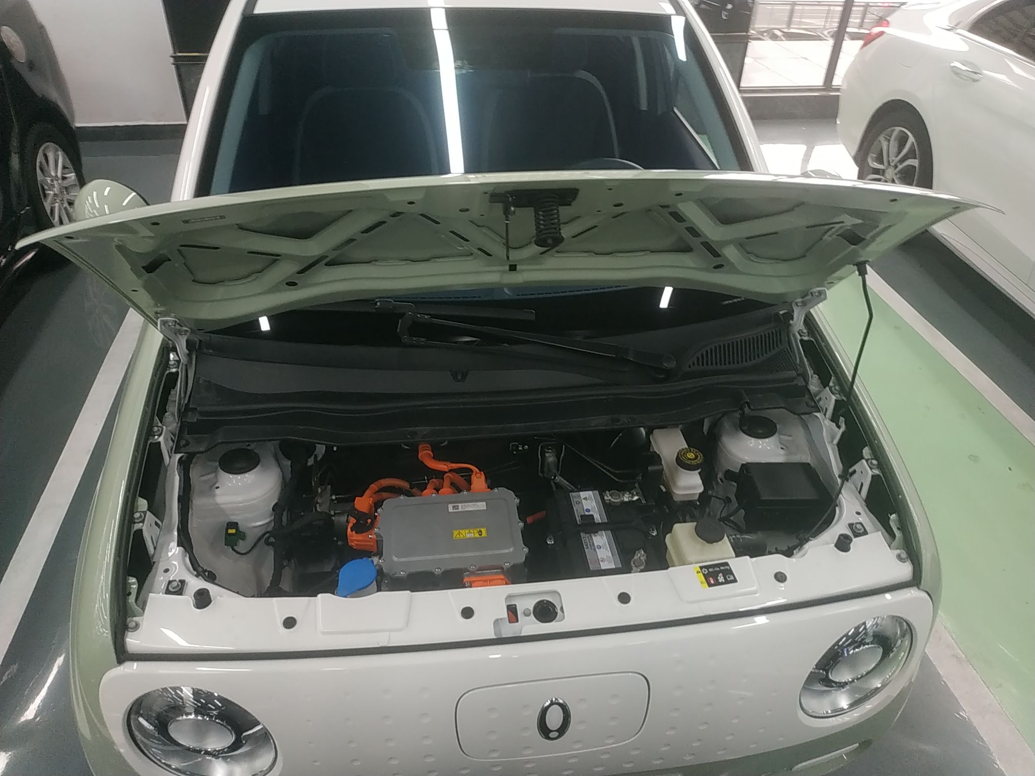 欧拉黑猫 2022款 301km 萌宠版