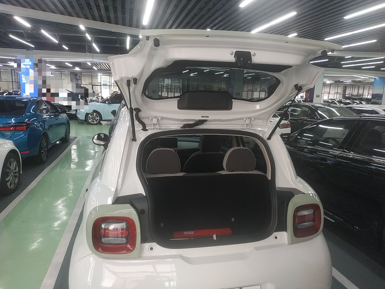 欧拉黑猫 2022款 301km 萌宠版