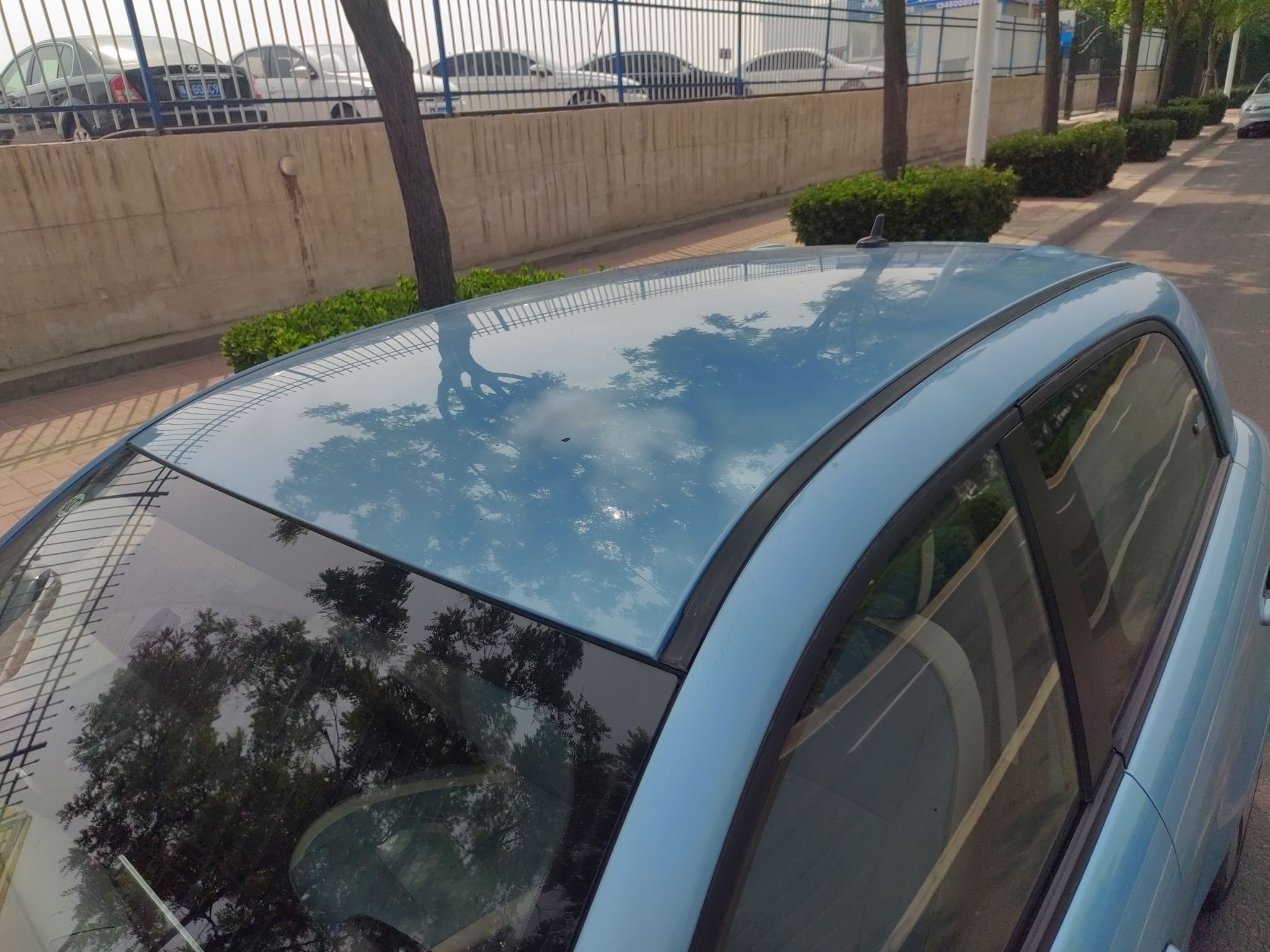 欧拉黑猫 2019款 351km 灵趣版