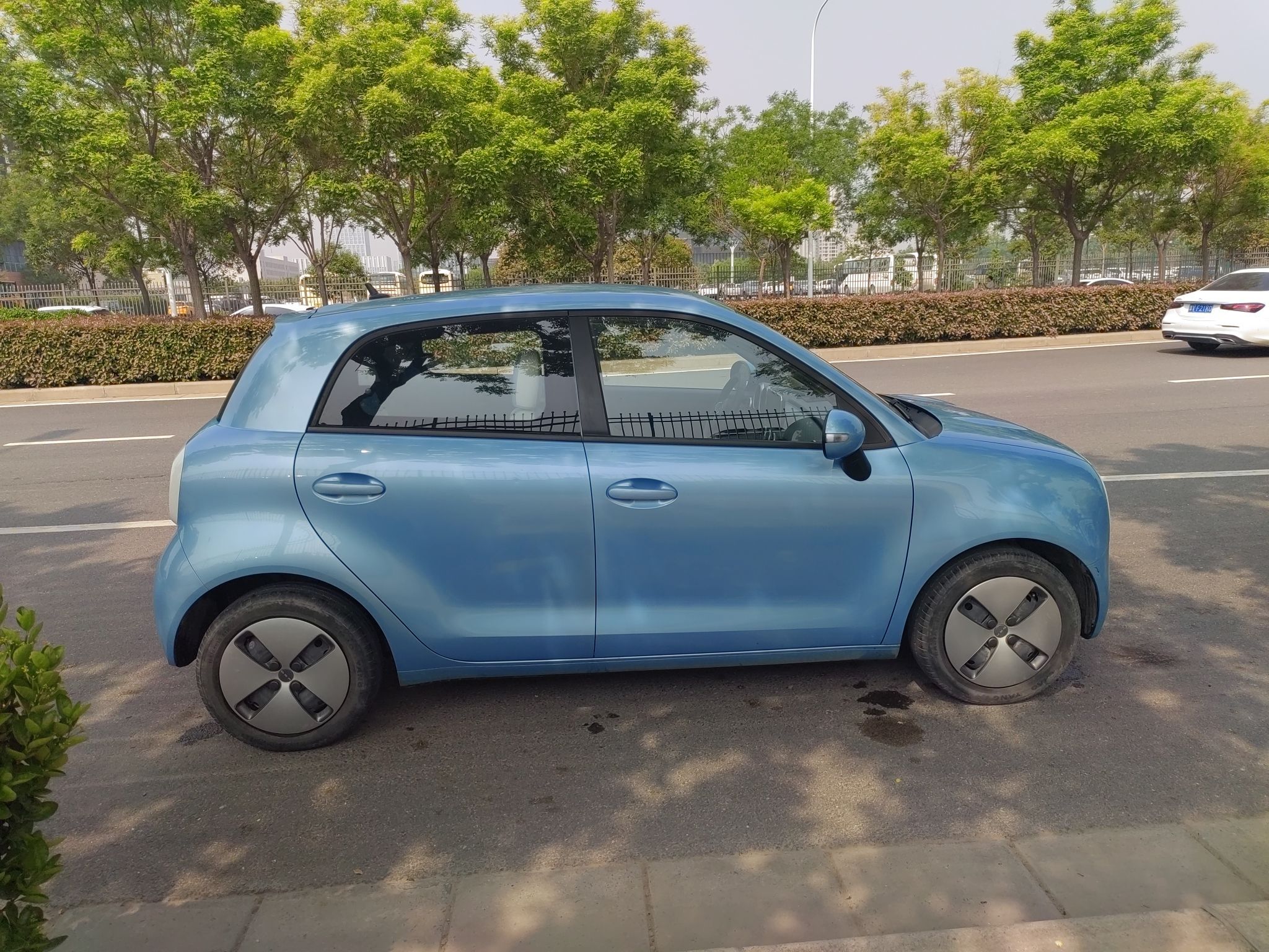 欧拉黑猫 2019款 351km 灵趣版