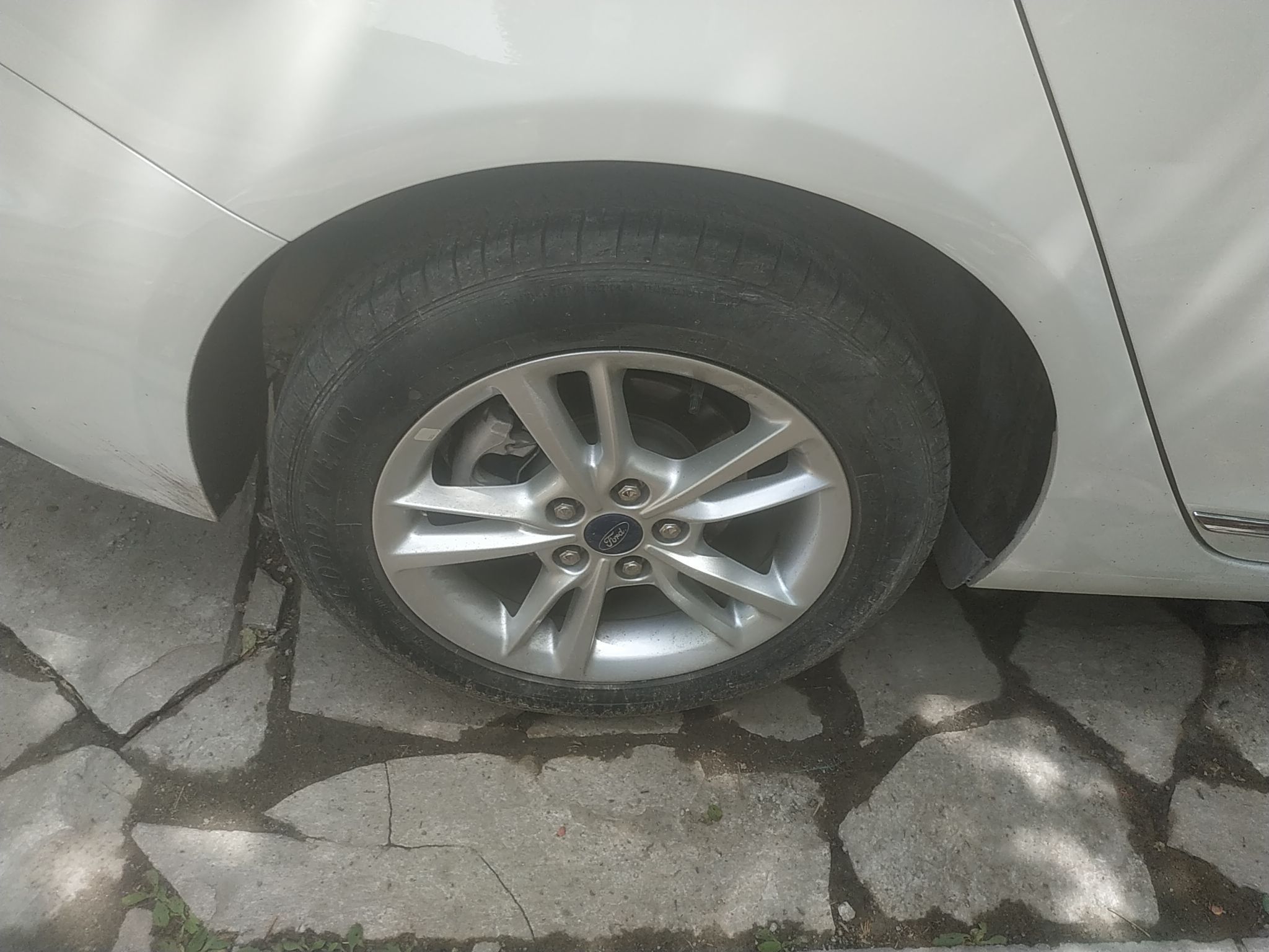 福特 福睿斯 2019款 1.5L 自动悦享型