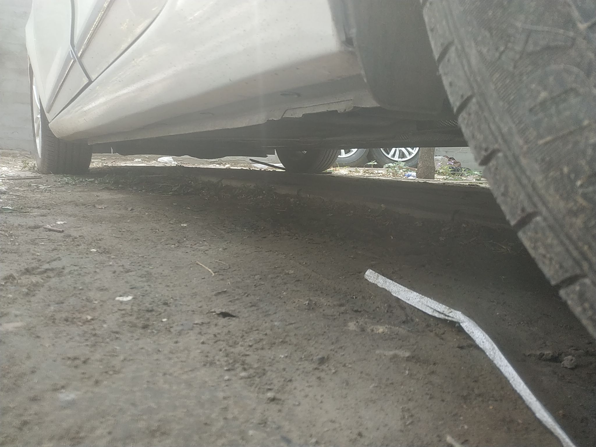 福特 福睿斯 2019款 1.5L 自动悦享型