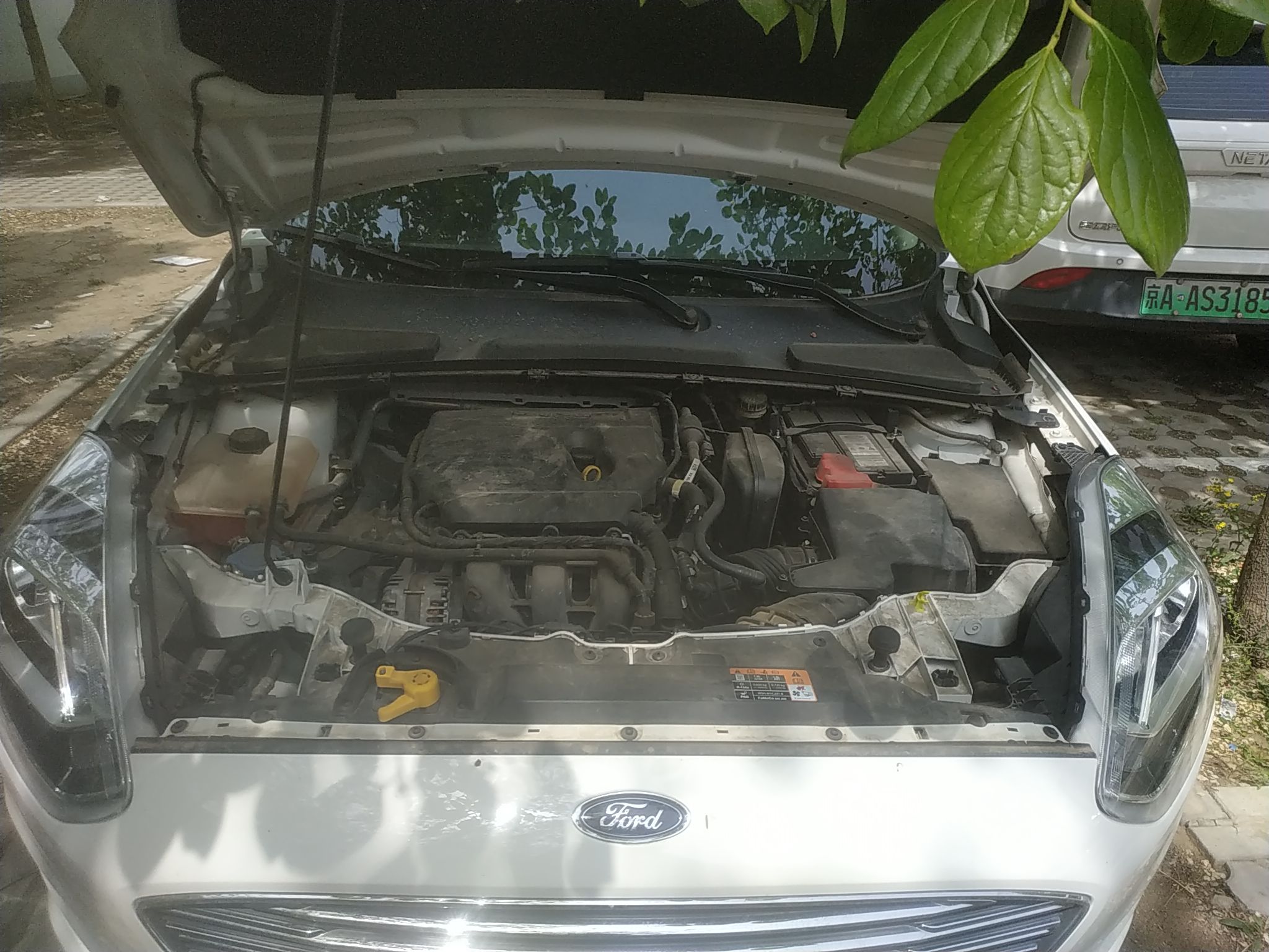 福特 福睿斯 2019款 1.5L 自动悦享型