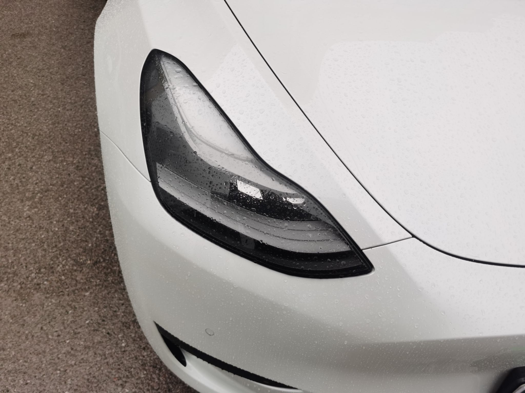 特斯拉 Model Y 2022款 后轮驱动版