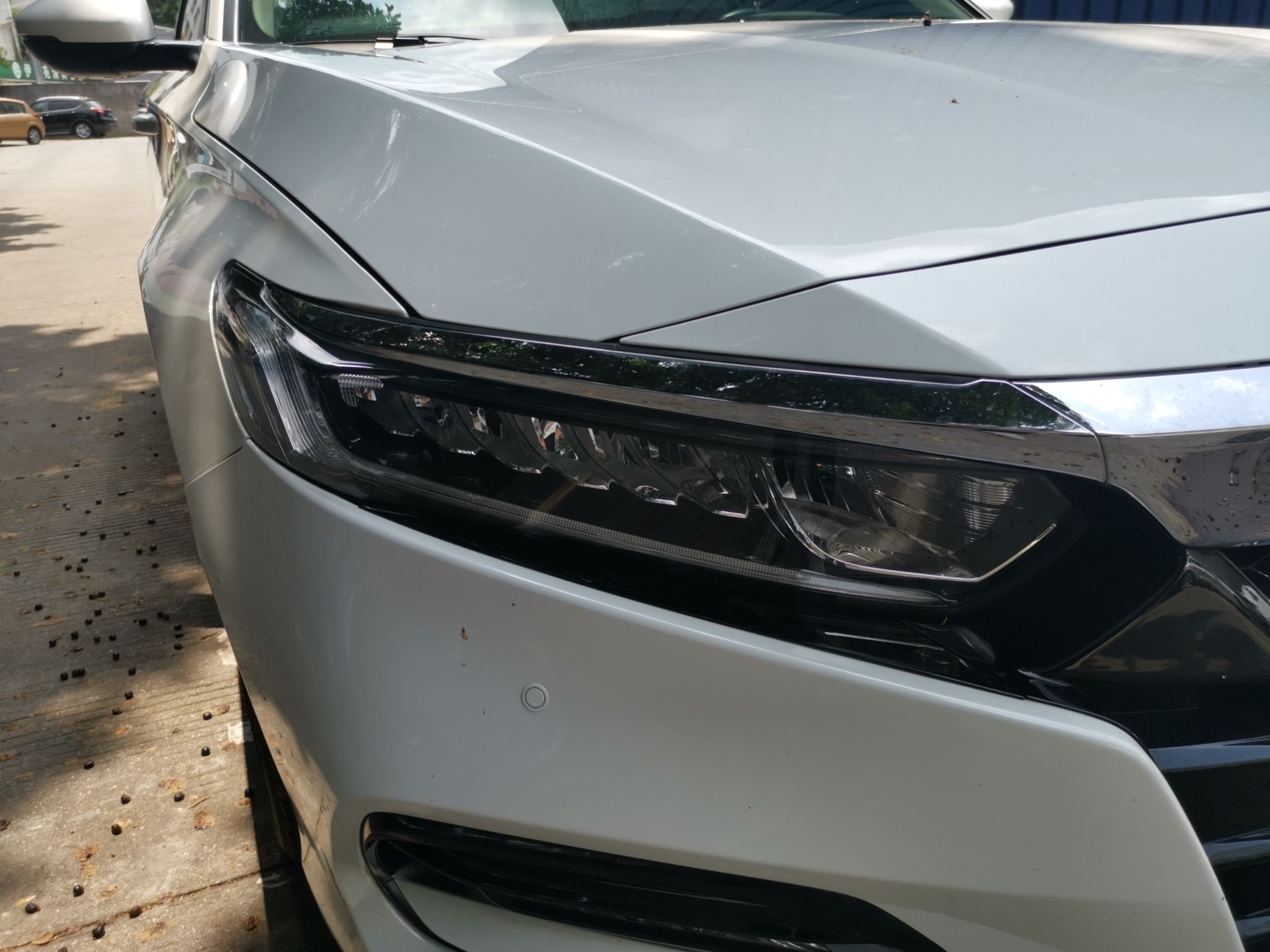 本田 雅阁 2018款 260TURBO 精英版 国VI