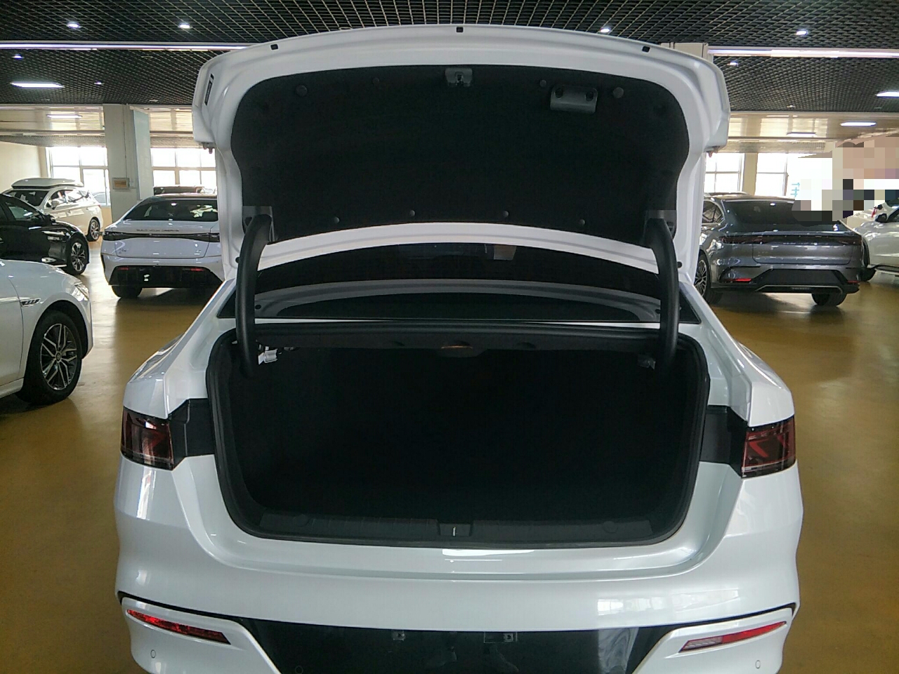 比亚迪 秦PLUS 2021款 EV 500KM 豪华型