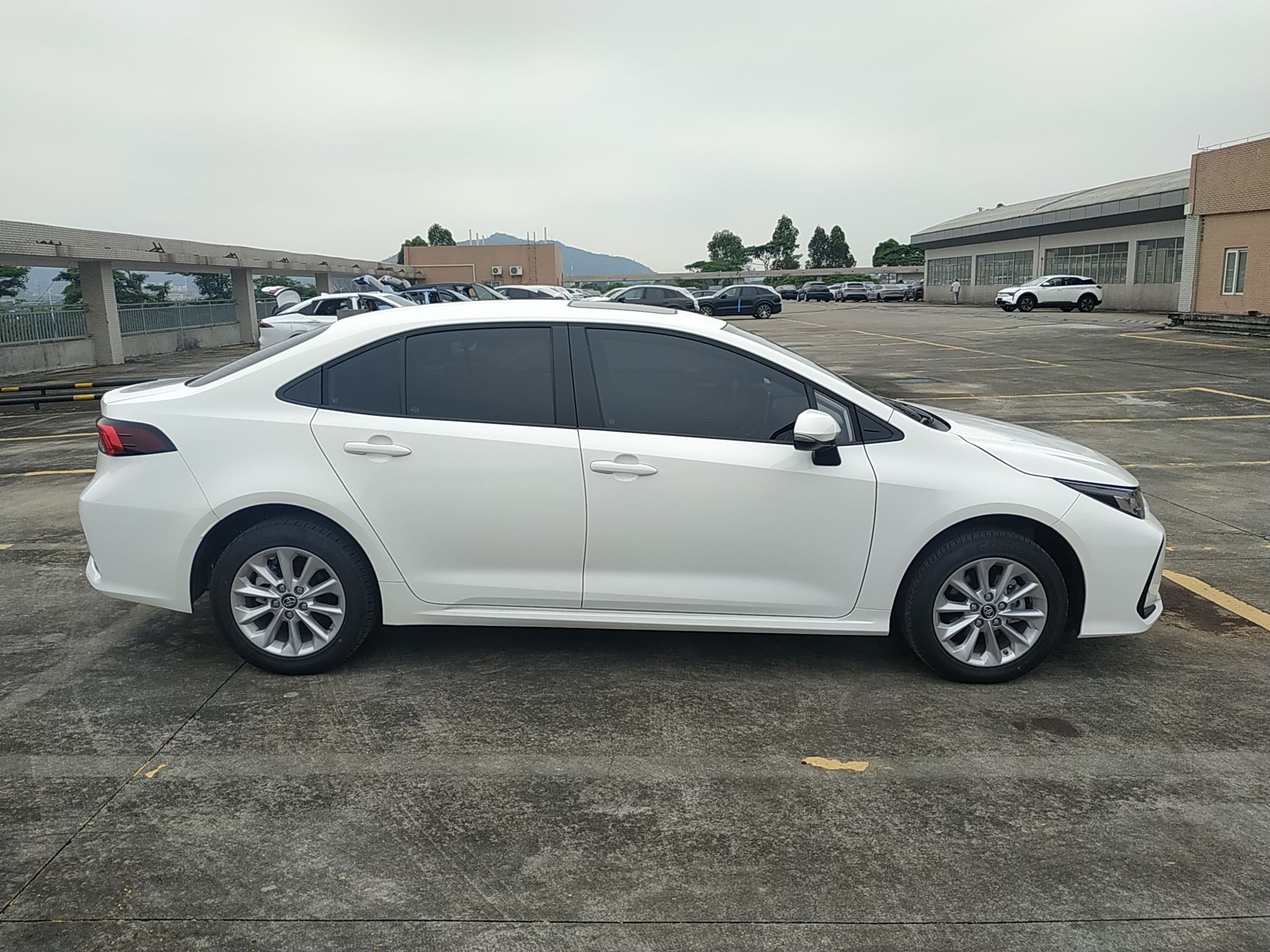 丰田 卡罗拉 2021款 1.2T S-CVT精英PLUS版