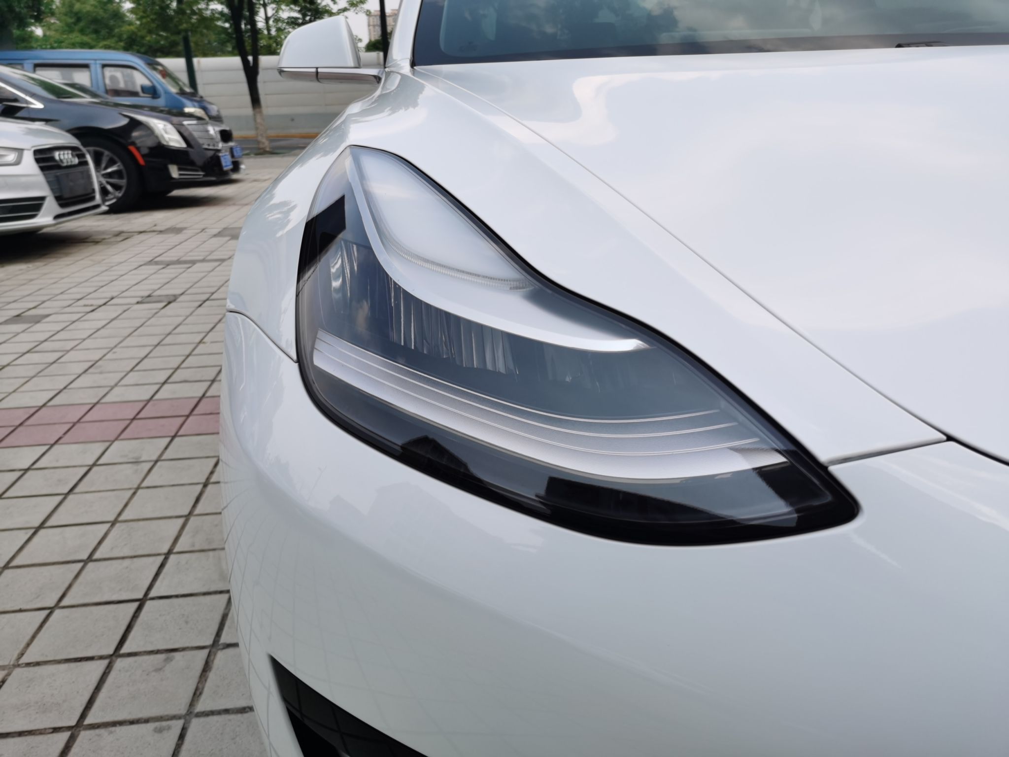 特斯拉 Model 3 2020款 改款 标准续航后驱升级版