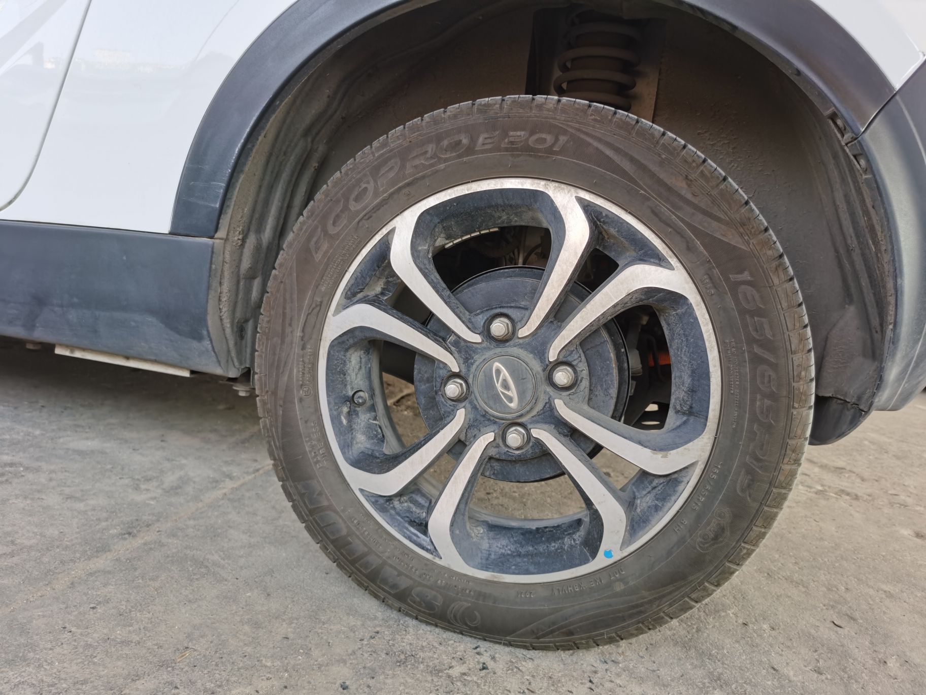 奇瑞 小蚂蚁 2021款 20万蚁粉款 元气版 三元锂 408km